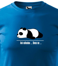 Ani náhodou ...
